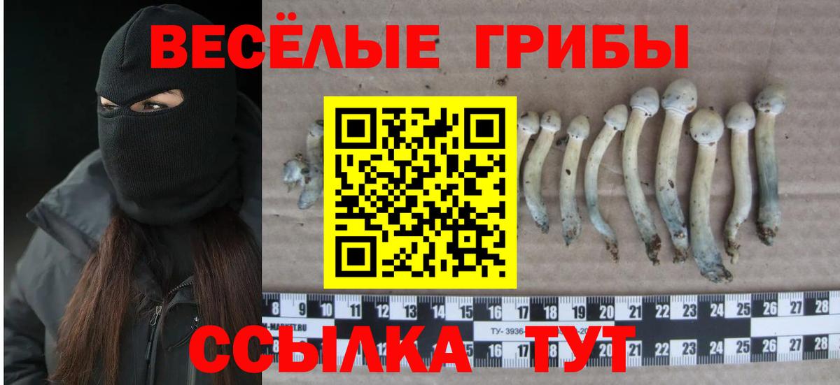 Дедовск  Галлюциногенные грибы GOLDEN TEACHER  Вход с VPN 